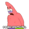 POBRE COSITA FEA
