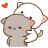 Mochi Mochi Cat 29