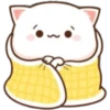 Mochi & cats 😻 6
