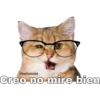 Gatitos. 5