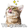 Gatitos. 7