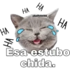 Gatitos. 8