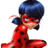 Ladybug-Miraculous(Rose) 5