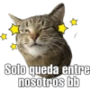Gatitos. 10