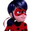 Ladybug-Miraculous(Rose) 7