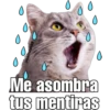 Gatitos. 12