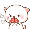 Mochis cat 2 5