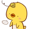 Pollito Lindo 8