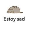 Pusheen texto 5