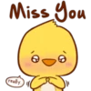 Miss You
really
