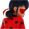 Ladybug-Miraculous(Rose) 8