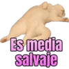 Es media
salvaje