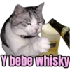 Y bebe whisky
YEDIN