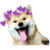 Perritos con corazones 7