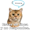 Gatitos. 13