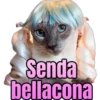 Senda
bellacona