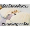 ahorita no joven
ya es muy noche
