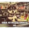 JOVEN, NO INSISTA, AHORITA
NO
Memegenerator.net