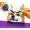 Dog Expressions 9