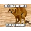 AHORITA NO JOVEN
ESTOY CAGANDO