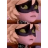 Lady Bug 13