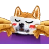 Dog Expressions 13