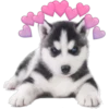 Perritos con corazones 13