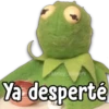 KERMIT [LA RANA RENÉ] 6