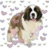 Perritos con corazones 14