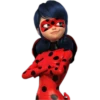 Ladybug-Miraculous(Rose) 11