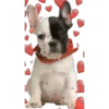 Perritos con corazones 15