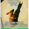 AHORA NO
JOVEN
ME ACABO DE DAR
CUENTA QUE SOY BATMAN
ImageChel.com
•Anime• Amino