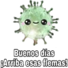 Yo Soy Coronavirus 13