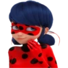 Ladybug-Miraculous(Rose) 12