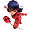 Ladybug-Miraculous(Rose) 14