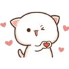 Mochis cat 2 11