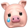 Pig memoji 8