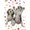 Perritos con corazones 18