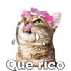 Gatitos. 14