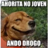 AHORITA NO JOVEN
ANDO DROGO