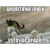 imgflip.com
AHORITA NO JOVEN
ESTOY OCUPADO