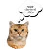Gatitos. 16