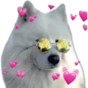 Perritos con corazones 19