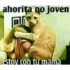 ahorita no joven
ON
Estoy con tu mama