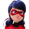 Ladybug-Miraculous(Rose) 16
