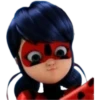 Ladybug-Miraculous(Rose) 17
