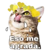 Gatitos. 17