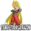 dragon ball z gt 14