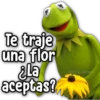 KERMIT [LA RANA RENÉ] 12