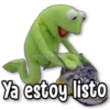 KERMIT [LA RANA RENÉ] 13